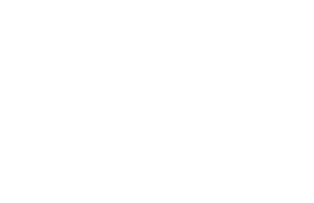 Soleila logo